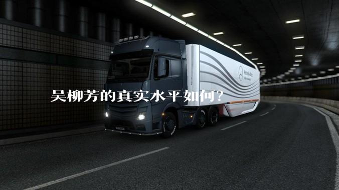 吴柳芳的真实水平如何？