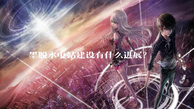 墨脱水电站建设有什么进展？