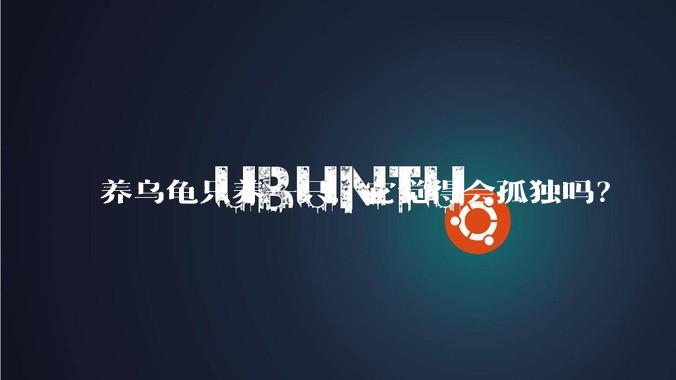 养乌龟只养一只，它觉得会孤独吗？