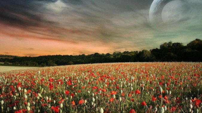 北京日报点名批评&ldquo;苏超&rdquo;过度娱乐化，它是否管的太宽了？为什么无良媒体不会被查封取缔？